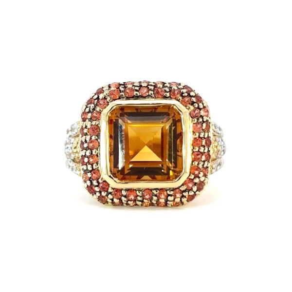 14K Yellow Gold Ring with Multi-colured gemstones TCW 4.86 Carat